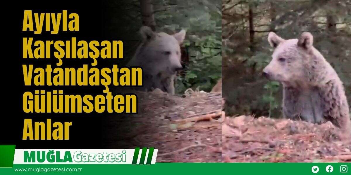 Ayıyla Karşılaşan Vatandaştan Gülümseten Anlar