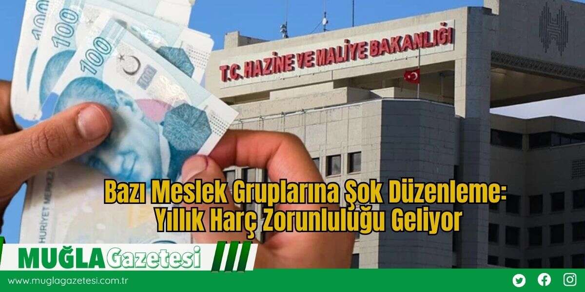 Bazı Meslek Gruplarına Şok Düzenleme: Yıllık Harç Zorunluluğu Geliyor