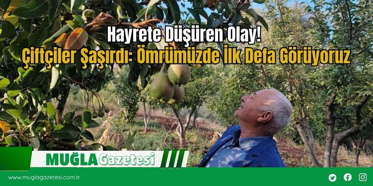 Hayrete Düşüren Olay! Çiftçiler Şaşırdı: Ömrümüzde İlk Defa Görüyoruz