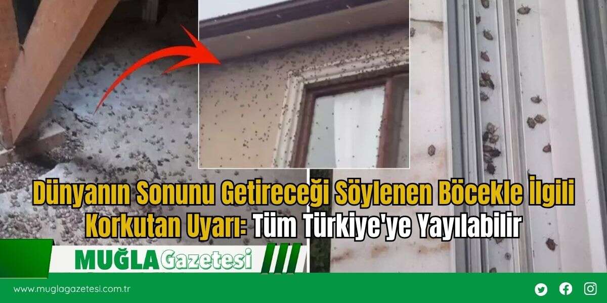 Dünyanın Sonunu Getireceği Söylenen Böcekle İlgili Korkutan Uyarı: Tüm Türkiye'ye Yayılabilir