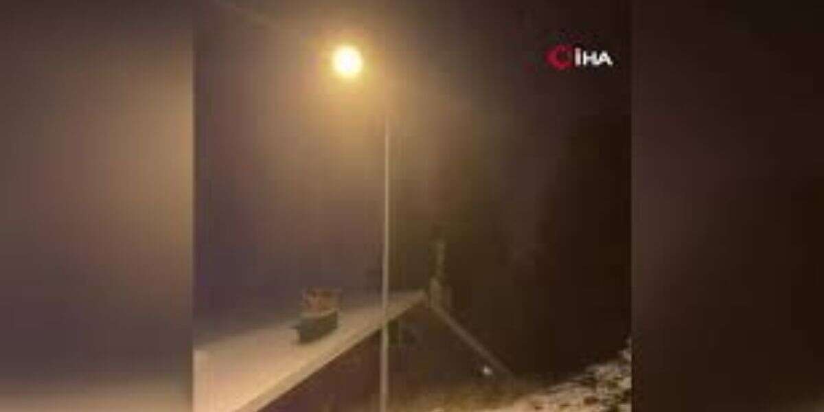 Ceviz Toplama Faciası: Bir Kişi Ağır Yaralandı