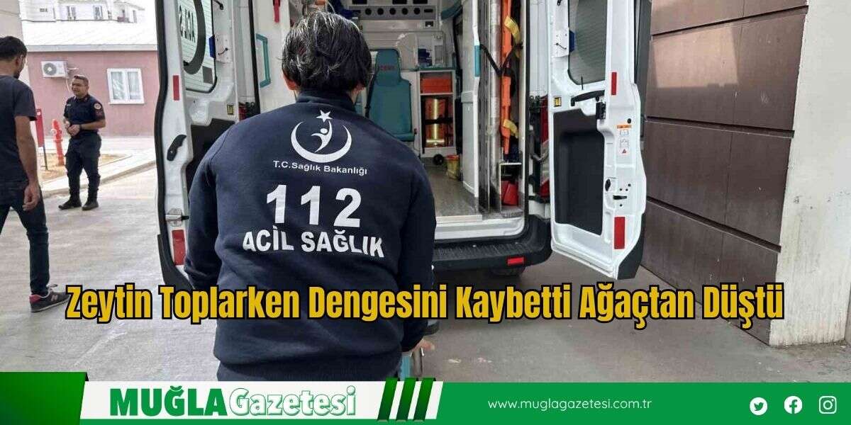 Zeytin Toplarken Dengesini Kaybetti Ağaçtan Düştü