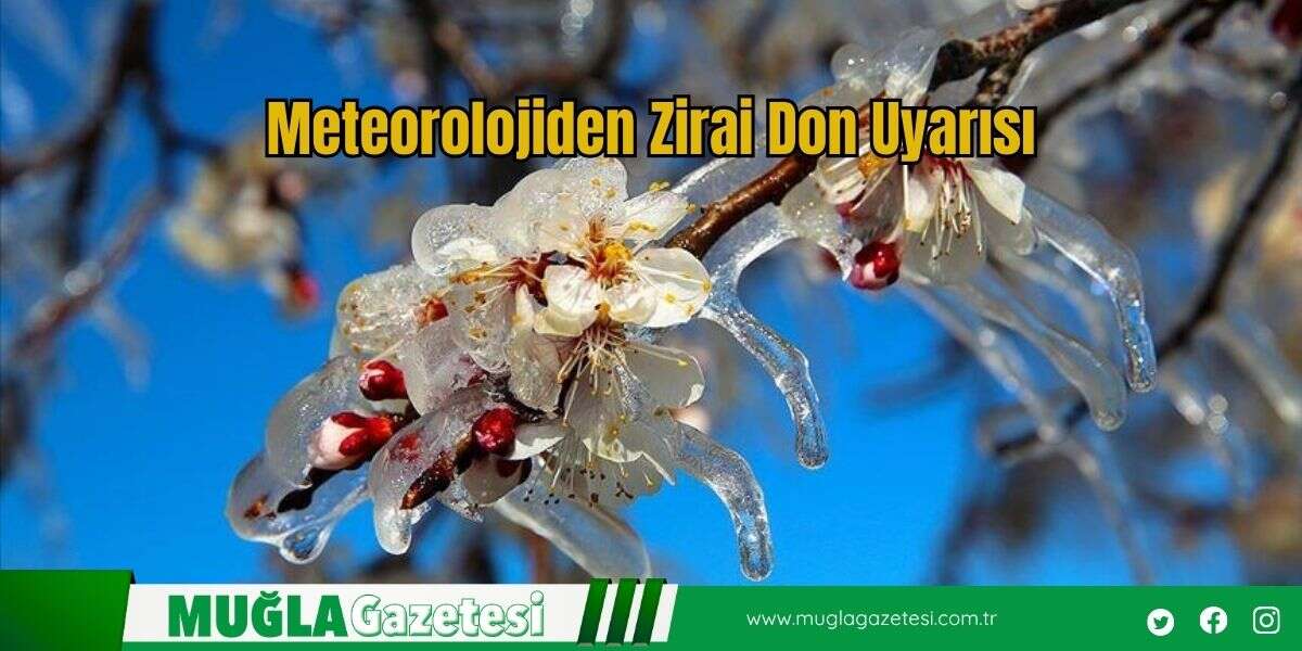 Meteorolojiden Zirai Don Uyarısı
