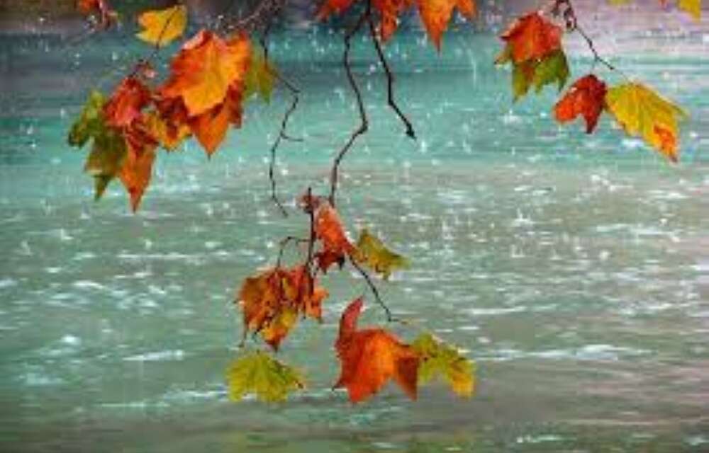 Muğla’da Bu Hafta  Sonbahar Yüzünü Gösteriyor: İşte İlçe İlçe Hava Durumu