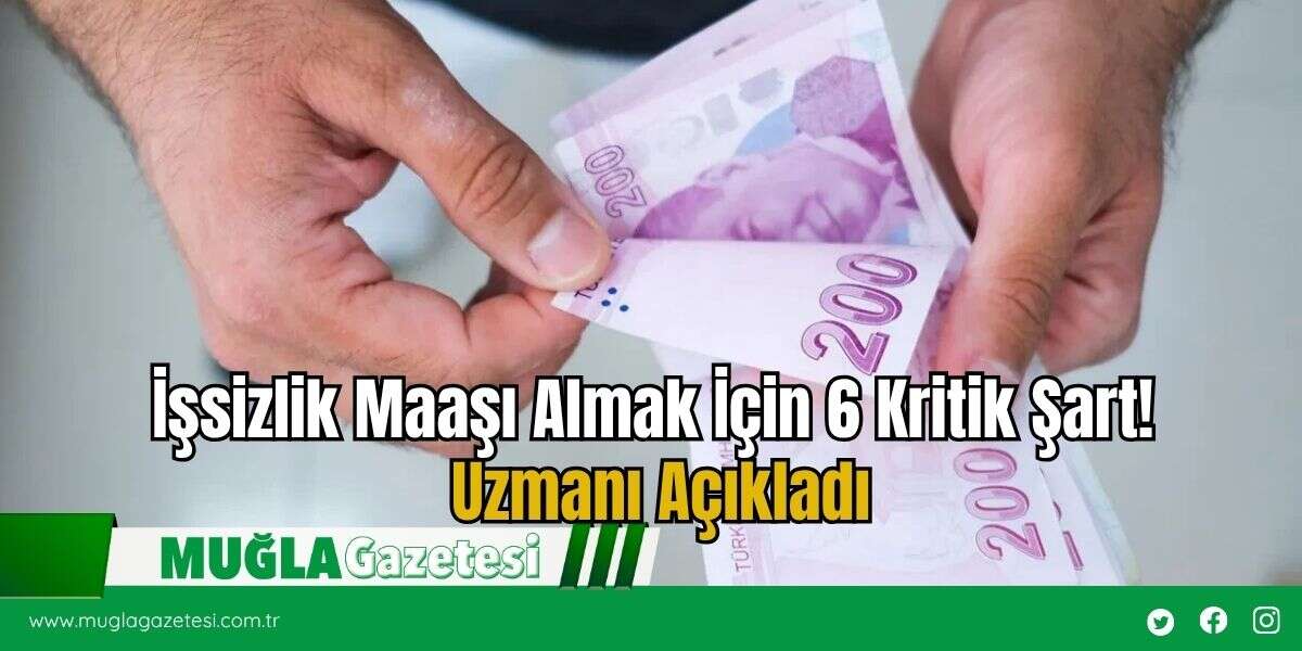 İşsizlik Maaşı Almak İçin 6 Kritik Şart! Uzmanı Açıkladı