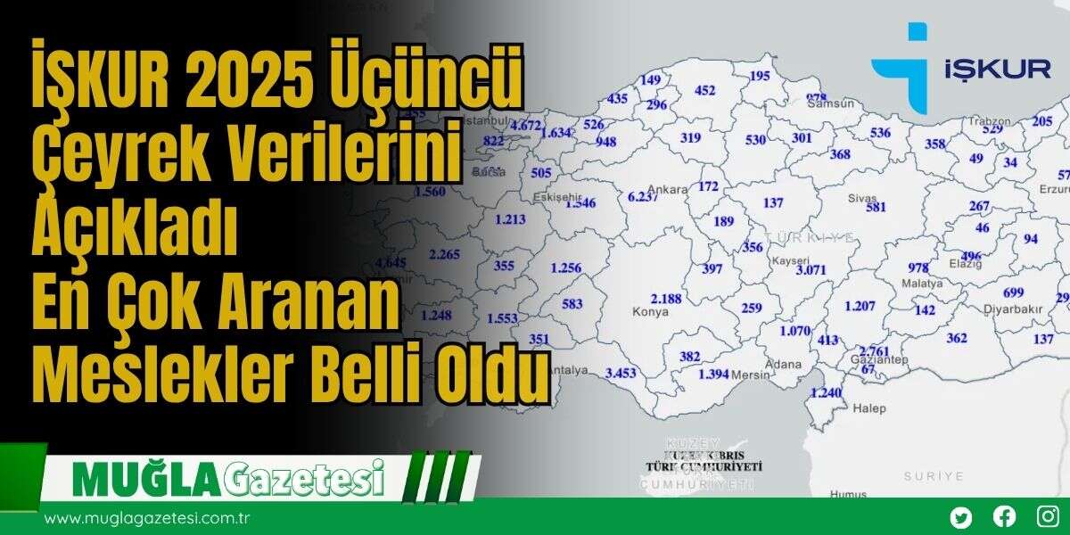 İŞKUR 2025 Üçüncü Çeyrek Verilerini Açıkladı: En Çok Aranan Meslekler Belli Oldu