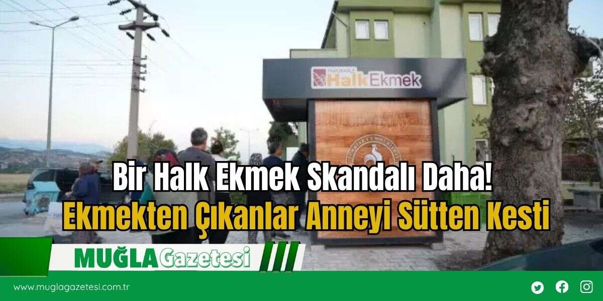Bir Halk Ekmek Skandalı Daha! Ekmekten Çıkanlar Anneyi Sütten Kesti