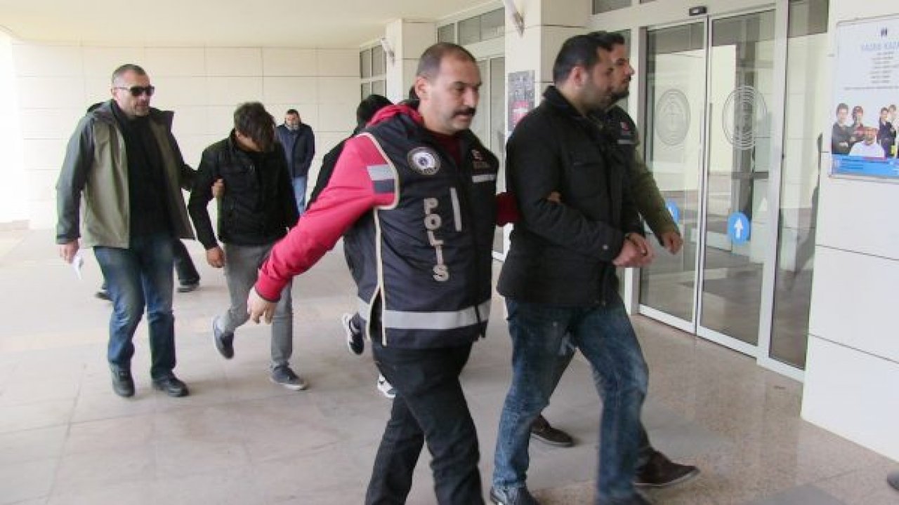 Kefir şişesinden bonzai çıktı