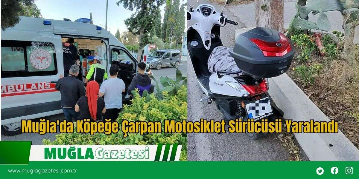 Muğla'da Köpeğe Çarpan Motosiklet Sürücüsü Yaralandı