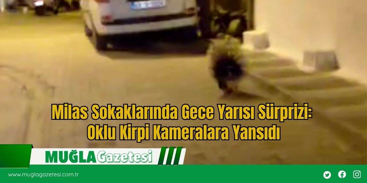 Milas Sokaklarında Gece Yarısı Sürprizi: Oklu Kirpi Kameralara Yansıdı