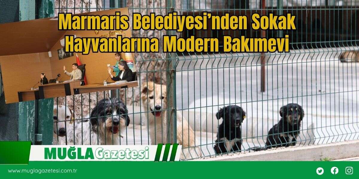 Marmaris Belediyesi’nden Sokak Hayvanlarına Modern Bakımevi