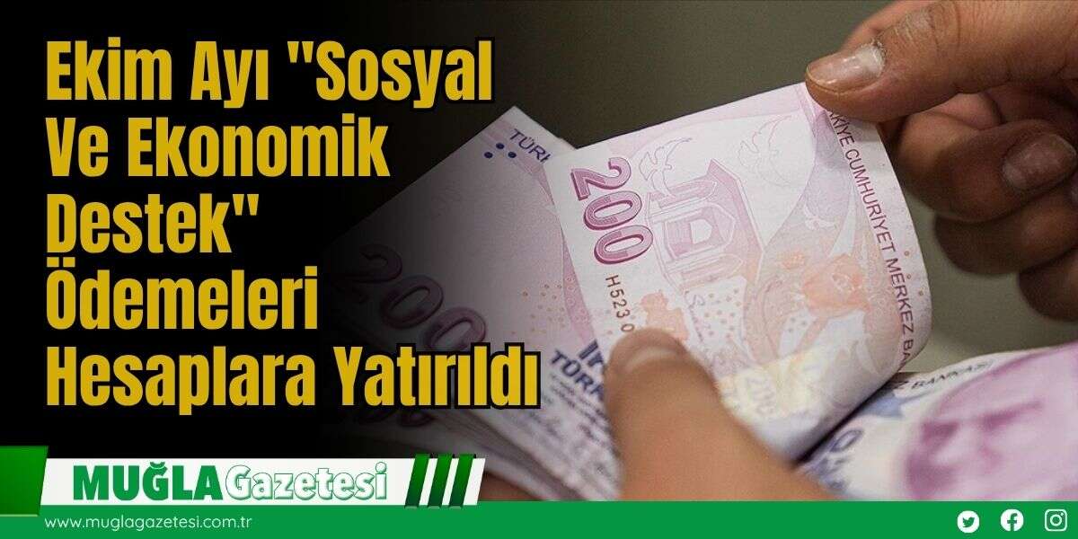 Ekim Ayı "Sosyal Ve Ekonomik Destek" Ödemeleri Hesaplara Yatırıldı