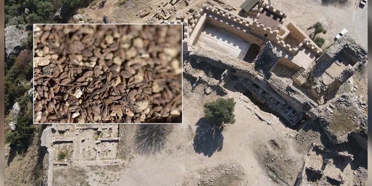 Türkiye’de Bir İlk: Beçin Antik Kenti’nde 700 Yıllık Darı Tohumları Gün Yüzüne Çıkarıldı