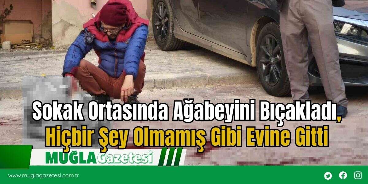Sokak Ortasında Ağabeyini Bıçakladı, Hiçbir Şey Olmamış Gibi Evine Gitti