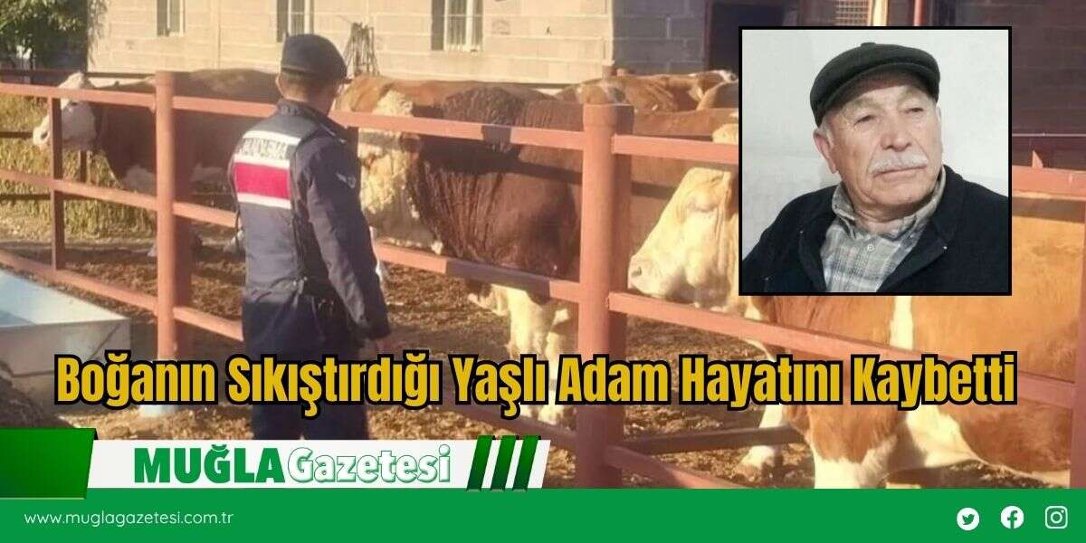 Boğanın Sıkıştırdığı Yaşlı Adam Hayatını Kaybetti