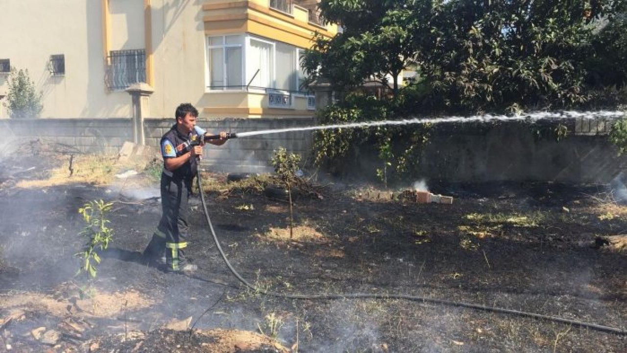 Otluk alanda yangın