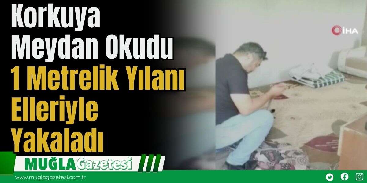 Korkuya Meydan Okudu: 1 Metrelik Yılanı Elleriyle Yakaladı