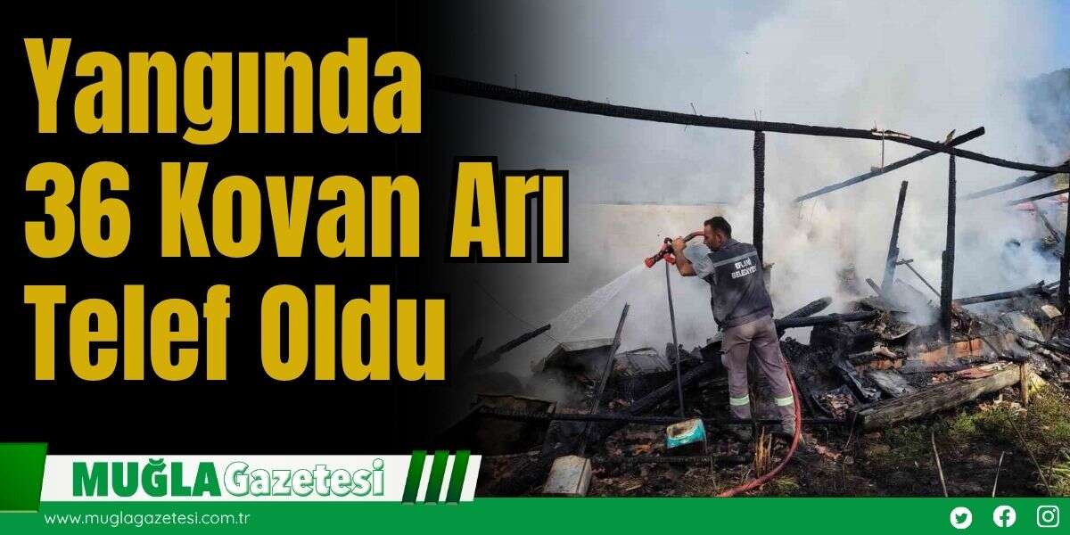 Yangında 36 Kovan Arı Telef Oldu