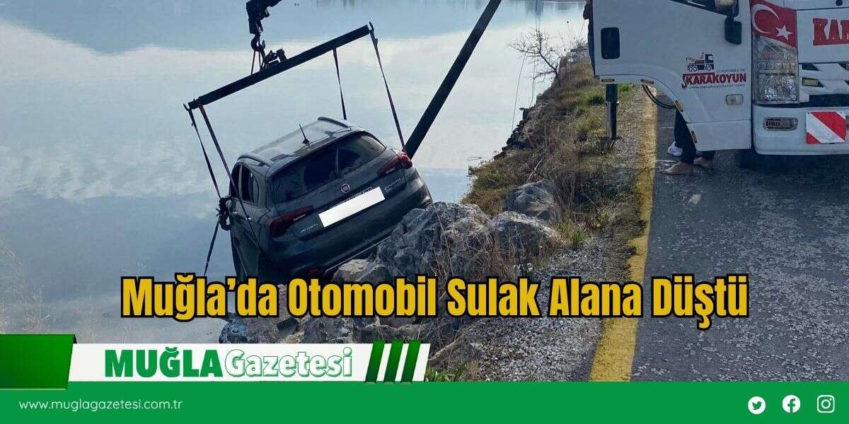 Muğla’da Otomobil Sulak Alana Düştü