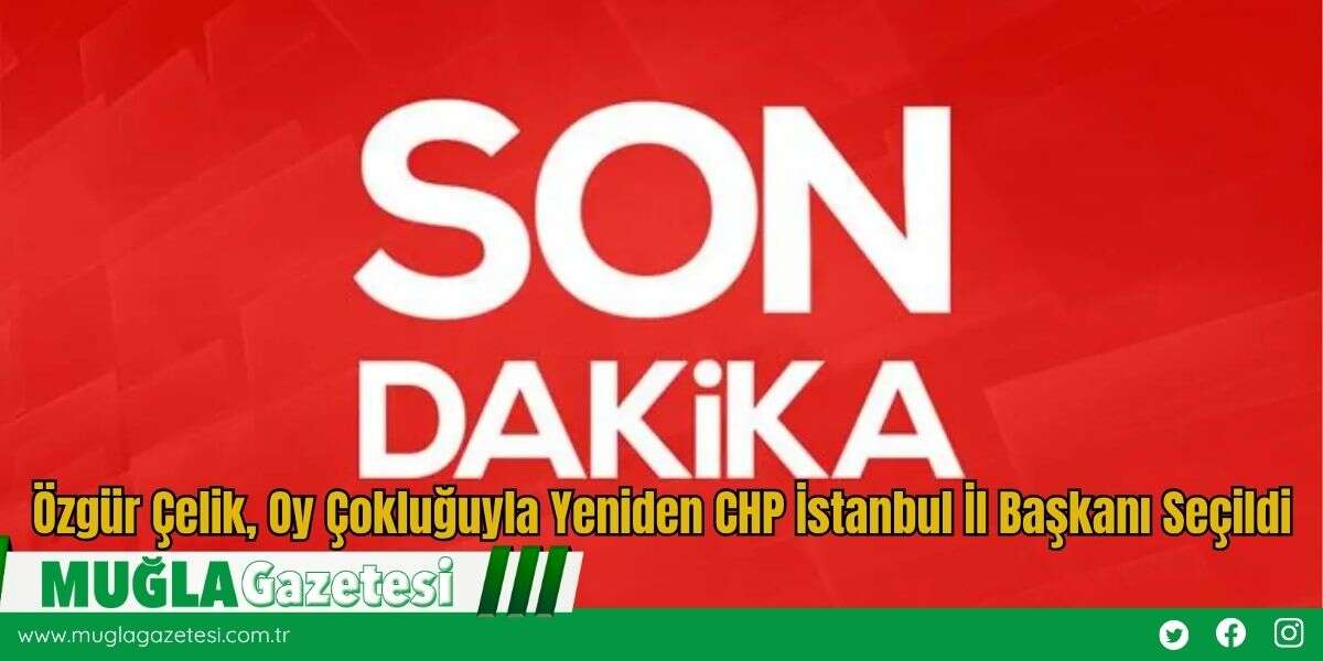 Özgür Çelik, Oy Çokluğuyla Yeniden CHP İstanbul İl Başkanı Seçildi
