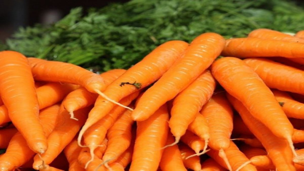 Zam şampiyonu havuç