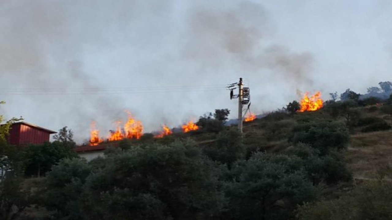 Otluk alanda yangın