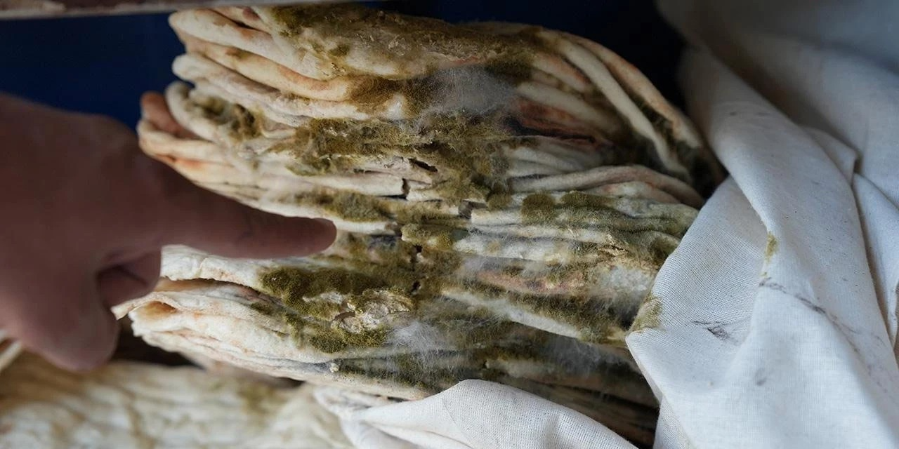 Fırında Mide Bulandıran Görüntüler: İki İşletme Kapatıldı