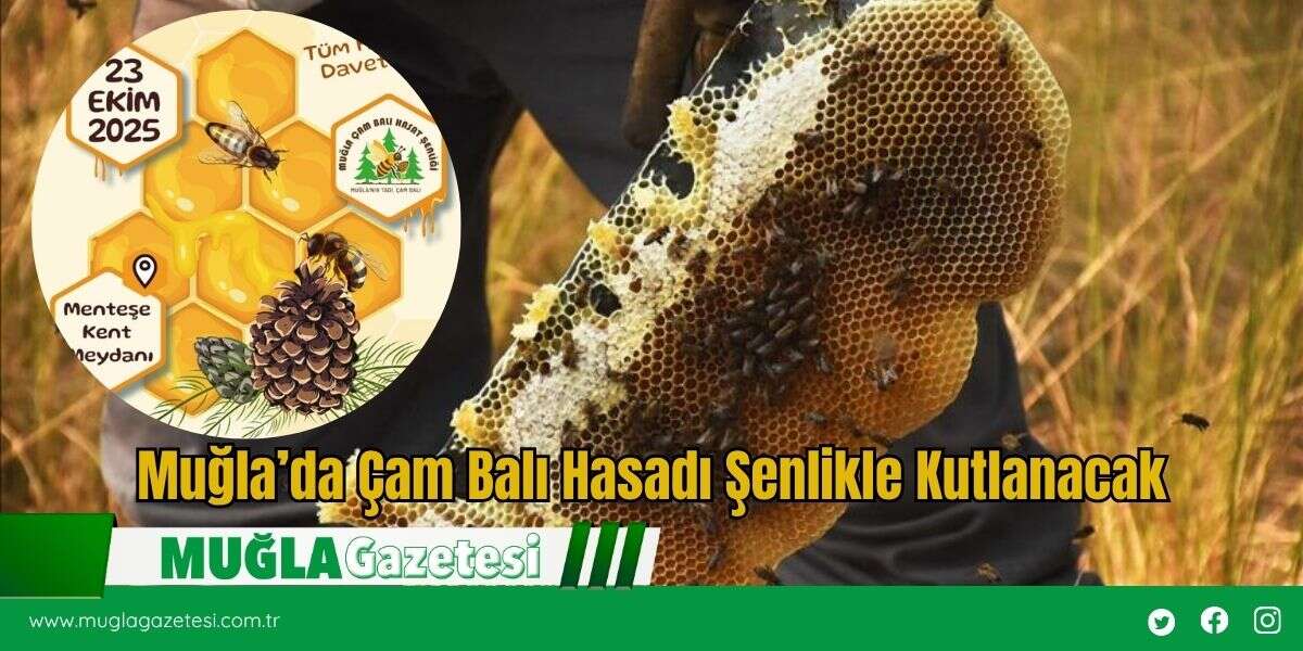 Muğla’da Çam Balı Hasadı Şenlikle Kutlanacak