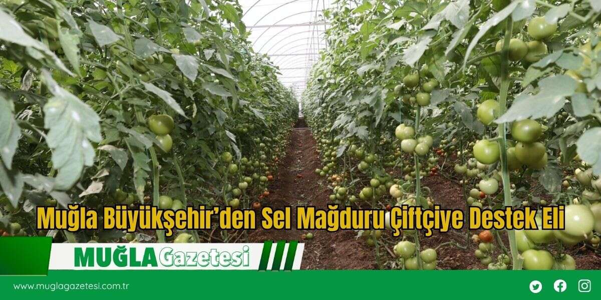 Muğla Büyükşehir’den Sel Mağduru Çiftçiye Destek Eli