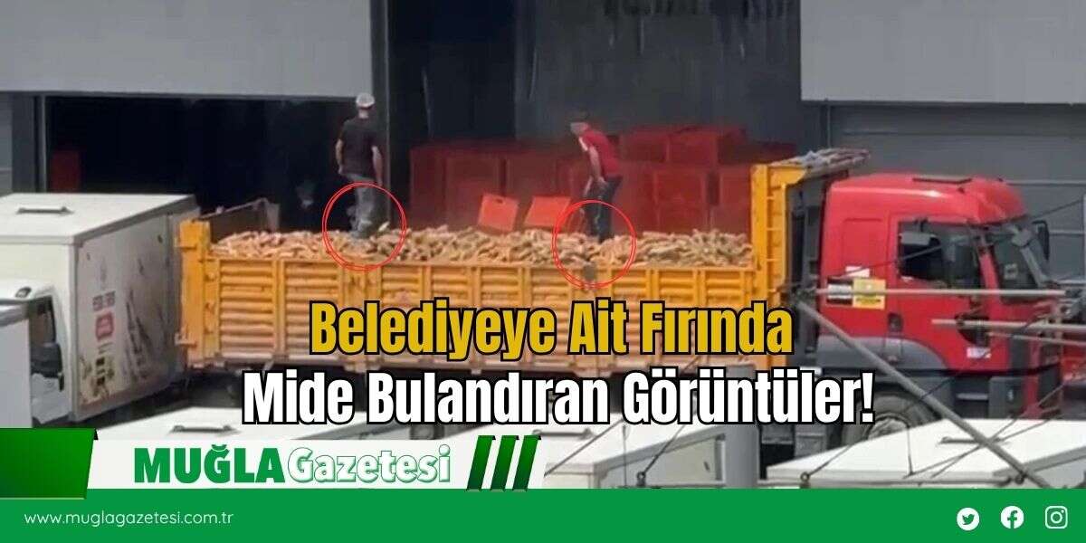 Belediyeye Ait Fırında Mide Bulandıran Görüntüler!