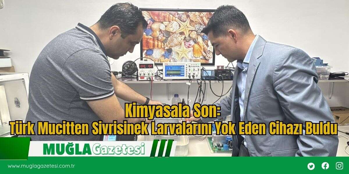 Kimyasala Son: Türk Mucitten Sivrisinek Larvalarını Yok Eden Cihazı Buldu