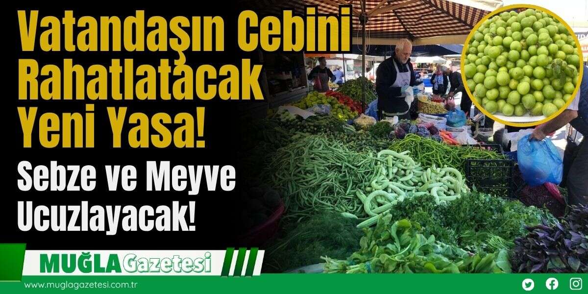 Vatandaşın Cebini Rahatlatacak Yeni Yasa! Sebze ve Meyve Ucuzlayacak!