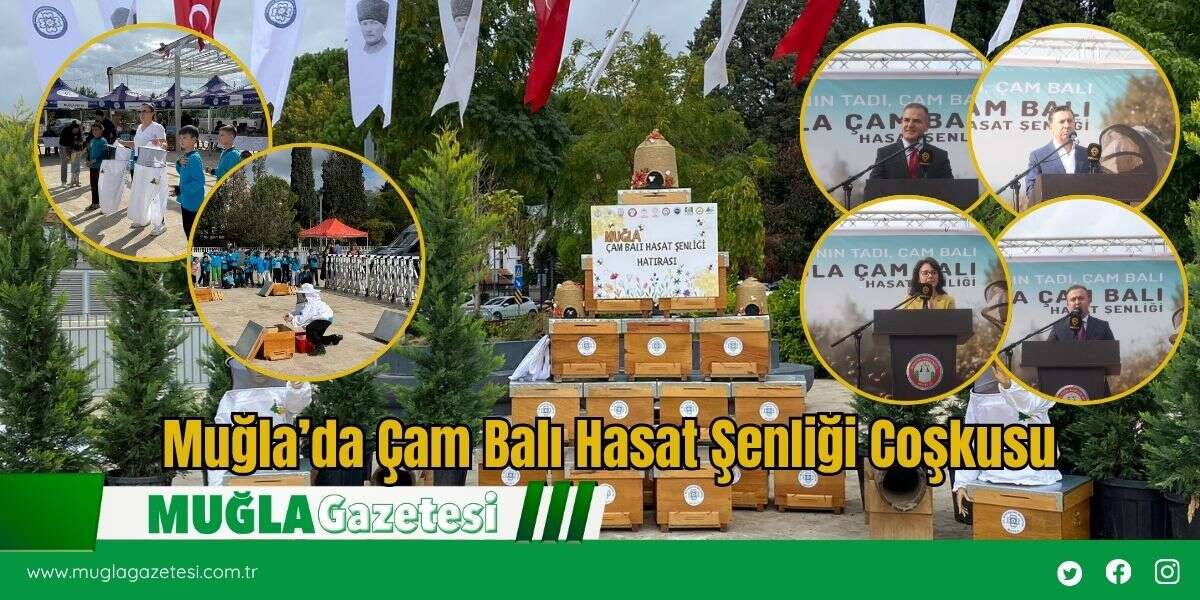 Muğla’da Çam Balı Hasat Şenliği Coşkusu
