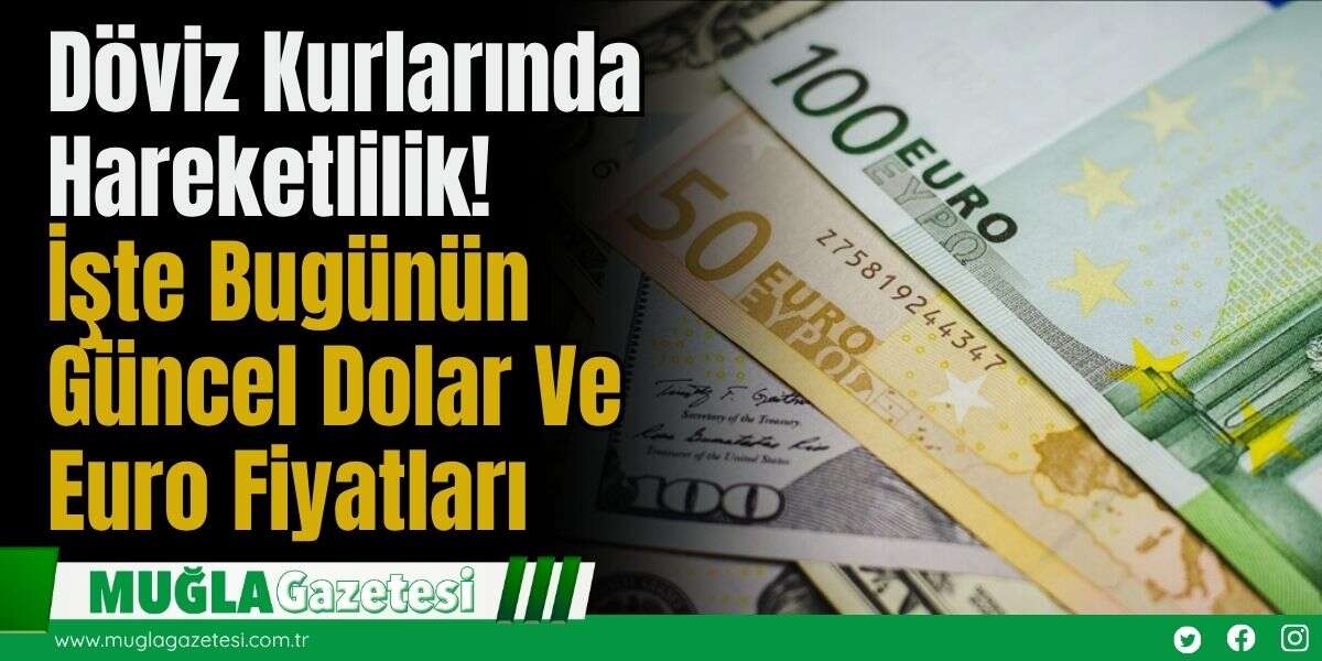 Döviz Kurlarında Hareketlilik! İşte Bugünün Güncel Dolar Ve Euro Fiyatları