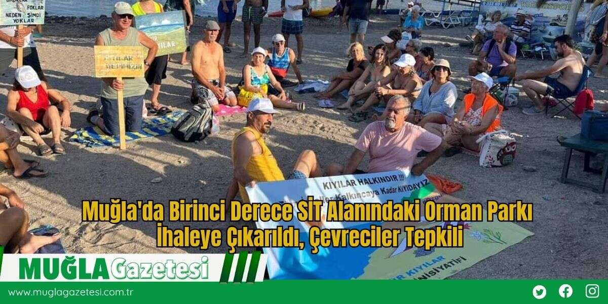 Muğla'da Birinci Derece SİT Alanındaki Orman Parkı İhaleye Çıkarıldı, Çevreciler Tepkili