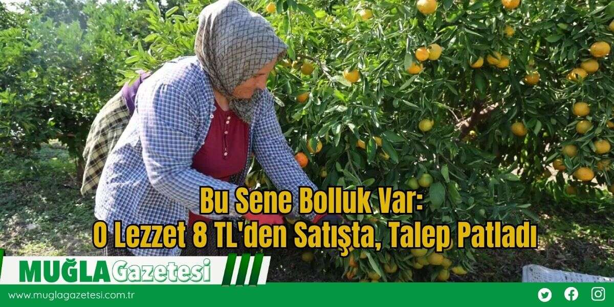 Bu Sene Bolluk Var: O Lezzet 8 TL'den Satışta, Talep Patladı
