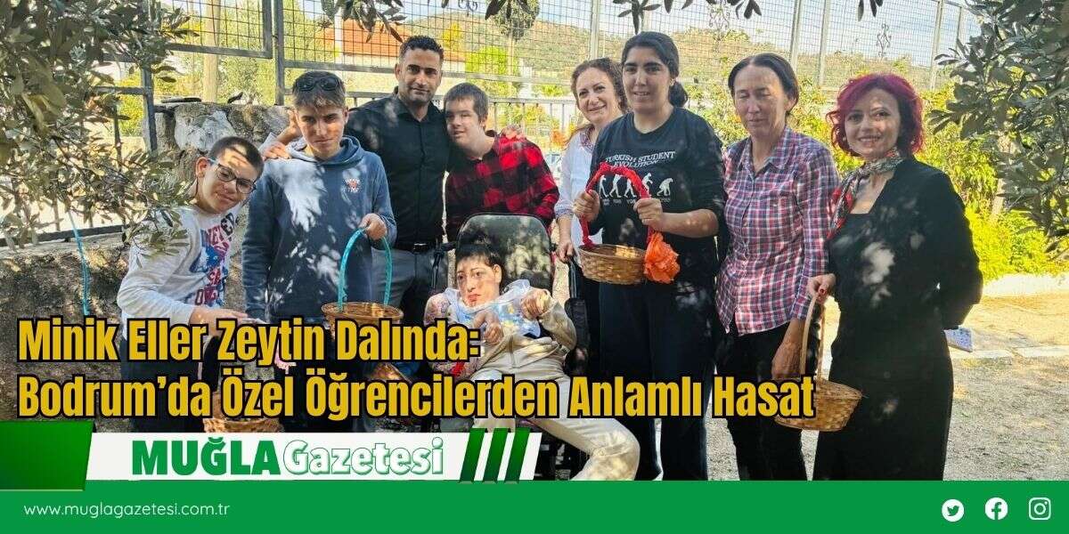 Minik Eller Zeytin Dalında: Bodrum’da Özel Öğrencilerden Anlamlı Hasat