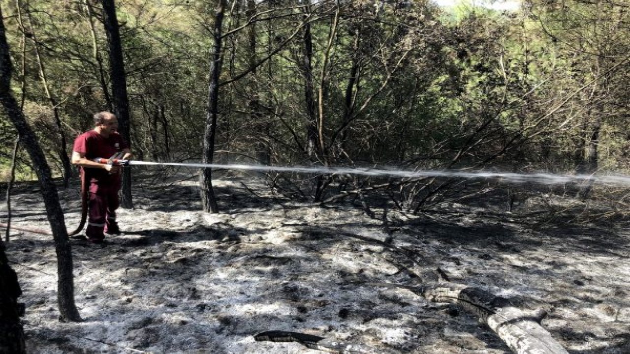 Çıkan yangında 2 hektar  alan zarar gördü