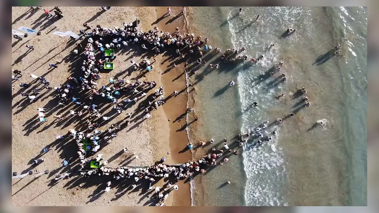 Muğla’da 10 Deniz Kaplumbağası ve 5 Yavru Denize Bırakıldı