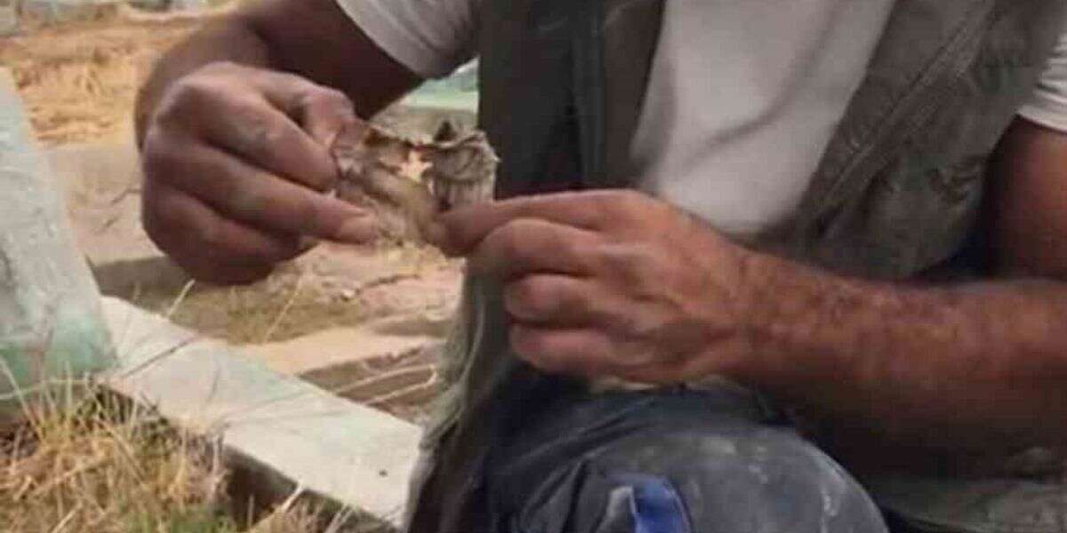Mezarlıktan Kefenlenmiş Oyuncak Bebek Çıktı
