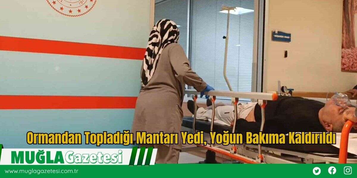 Ormandan Topladığı Mantarı Yedi, Yoğun Bakıma Kaldırıldı
