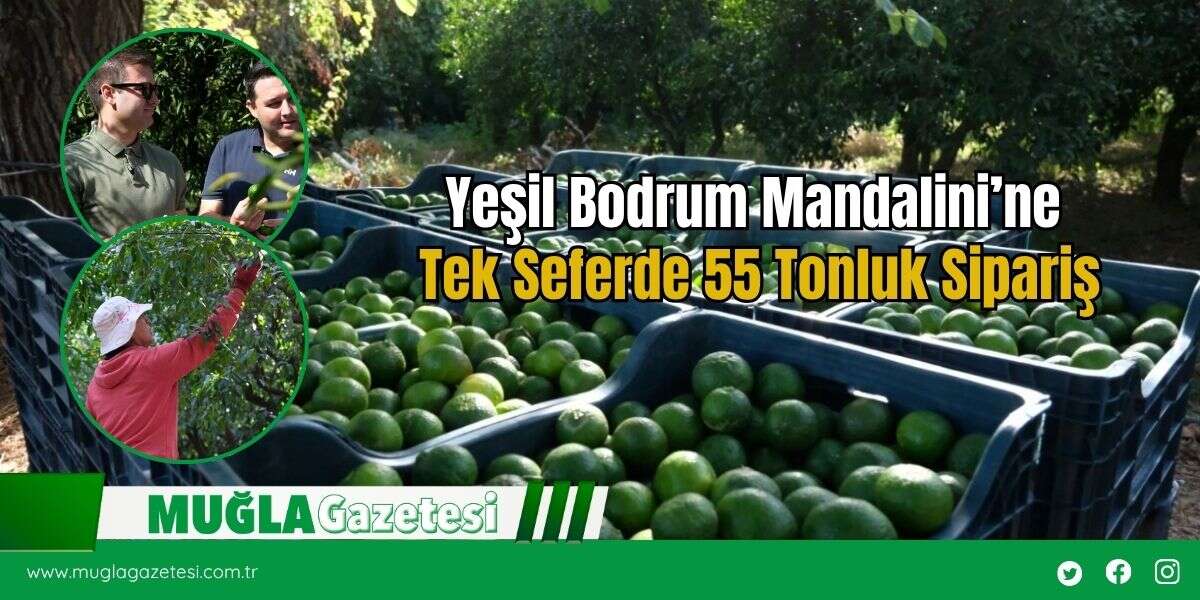 Yeşil Bodrum Mandalini’ne Tek Seferde 55 Tonluk Sipariş