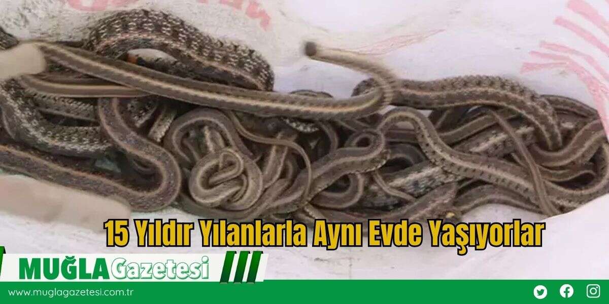 15 Yıldır Yılanlarla Aynı Evde Yaşıyorlar