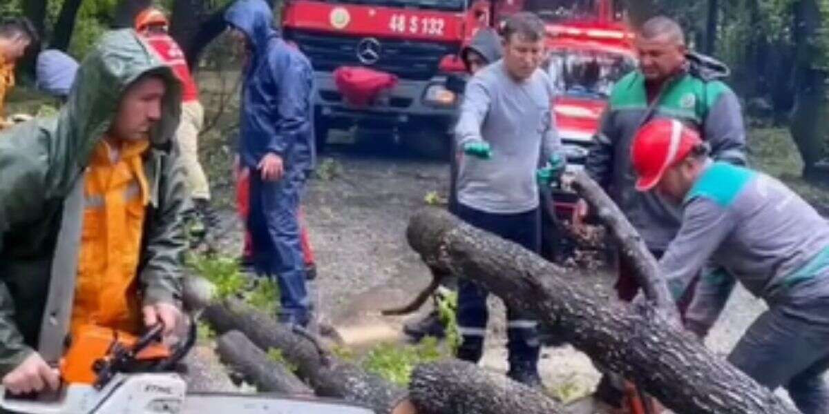 Köyceğiz'i Sel Aldı, Orman Ekipleri Yardıma Koştu