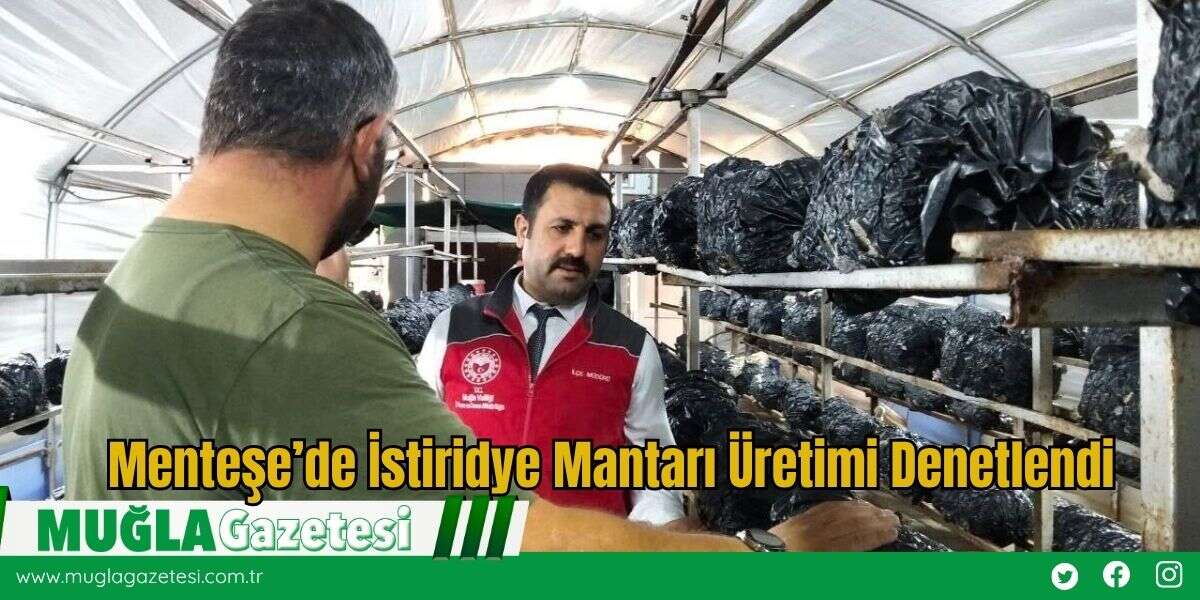 Menteşe’de Tarımsal Faaliyetlere Yerinde Destek ve Denetim