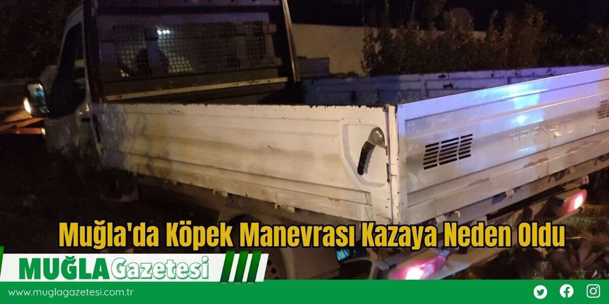 Muğla'da Köpek Manevrası Kazaya Neden Oldu
