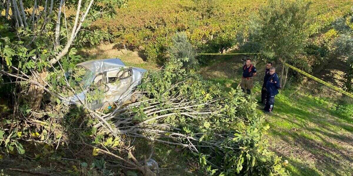 Kontrolden Çıkan Otomobil Üzüm Bağına Devrildi! 1 Ölü