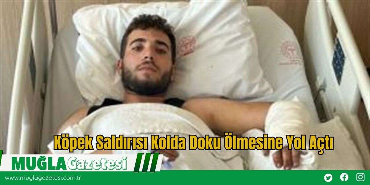 Köpek Saldırısı Kolda Doku Ölmesine Yol Açtı