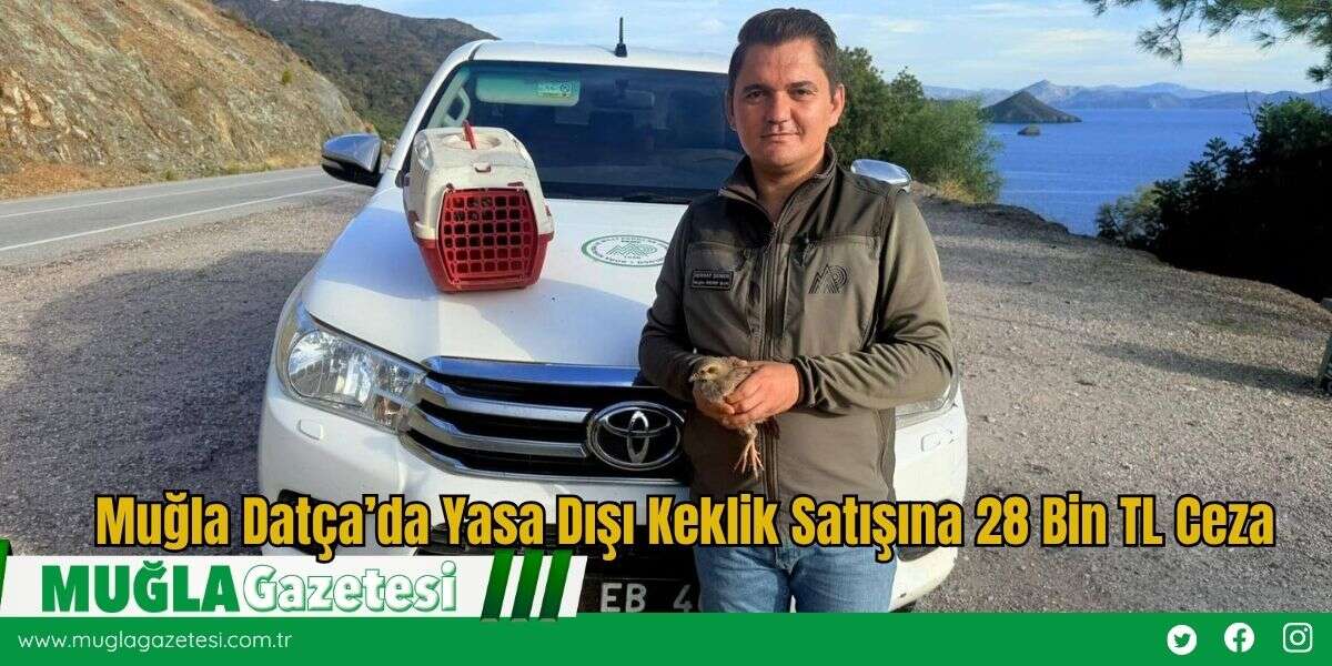 Muğla Datça’da Yasa Dışı Keklik Satışına 28 Bin TL Ceza