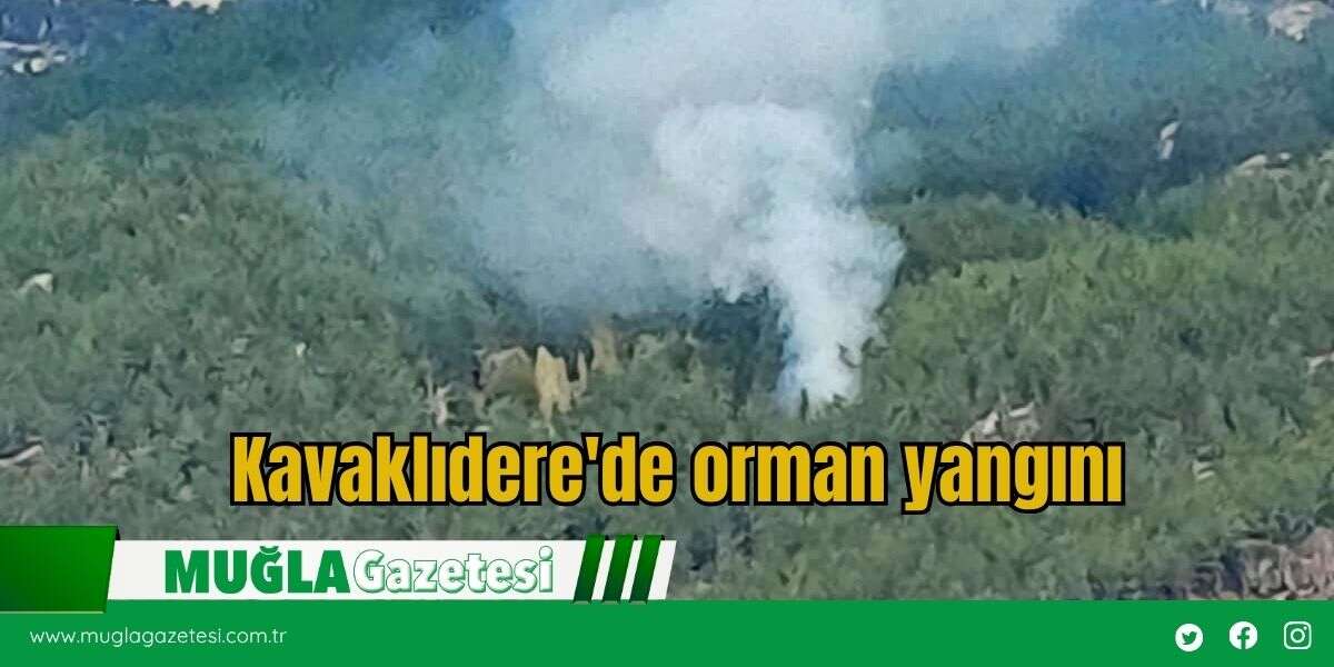 Kavaklıdere'de Orman Yangını Başladı